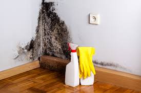 Best Mold Damage Restoration  in Vandenberg Village, CA